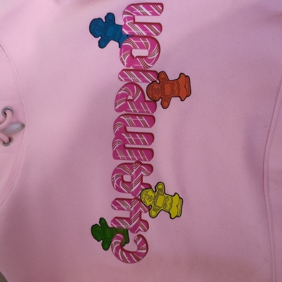 CHAMPION X CANDY LAND COLAB EXCLUSIVE “HERITAGE” PULLOVER HOODIE 2x - Picture 11 of 11
